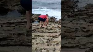 Ловля кутума на спиннинг