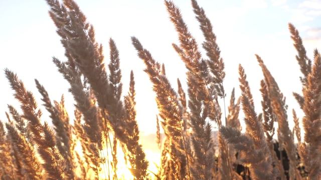 Самая мощная черта характера мусульманина смотреть онлайн