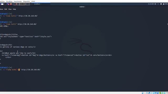 TryHackMe - DogCat | Walkthrough смотреть онлайн