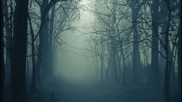 3 Haunting DARK WEB Horror Stories Vol.2 #horrorstories Ambient Forest смотреть онлайн