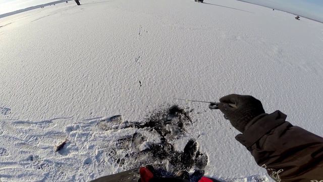 ПЕРВЫЙ ЛЕД 2024