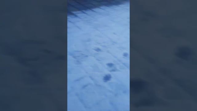 Первый снег Александра увидела и ей не понравилось ,лучше на песке. смотреть онлайн