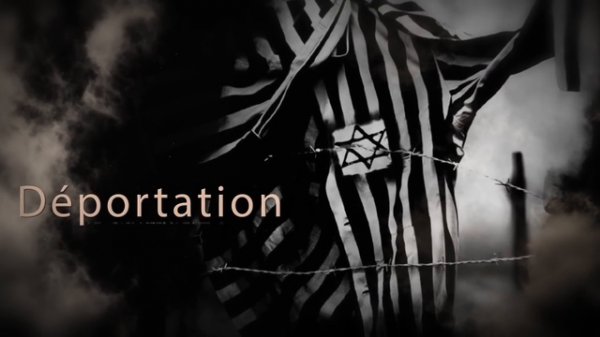 Jacob Cohen, quand Pascal Jacob se trompe d'ennemi - derrière Zemmour, la philo de la soumission