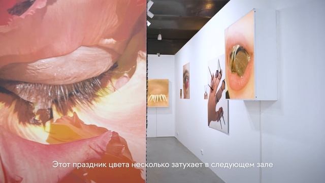 Выставка Кати Правды XTAL CASTLE смотреть онлайн