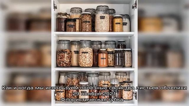Несколько способов хранения фасоли смотреть онлайн