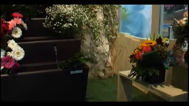 Fresh garden DE3 смотреть онлайн