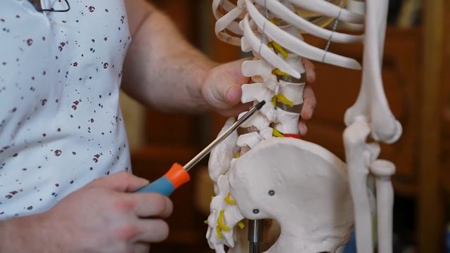 Турник опасен для спины! Можно ли вылечить турником спину. смотреть онлайн