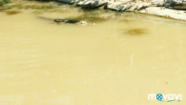 Отпуск во Вьетнаме смотреть онлайн