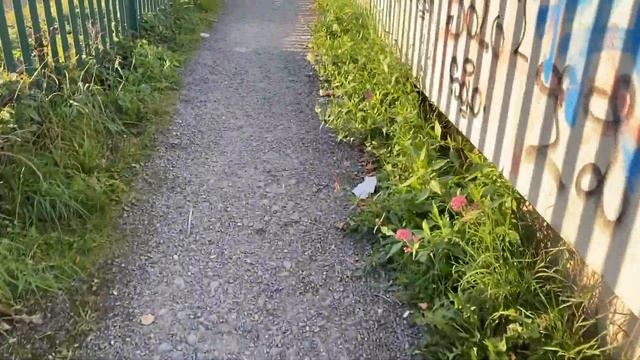 Ireland time difference in winters||Day vlog||No part time today||Outing with Friends||Student Life смотреть онлайн