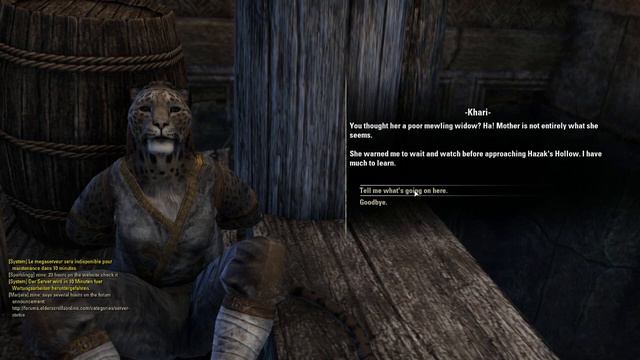 The Elder Scrolls Online #10 - The Rescue