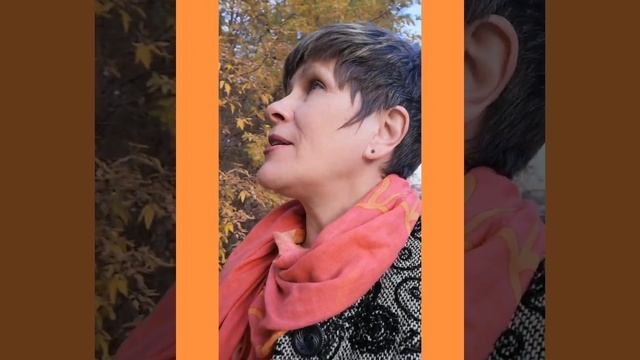 14 октября 2020 г. смотреть онлайн