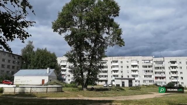 Вышний Волочёк улица Мира выпиливание деревьев смотреть онлайн