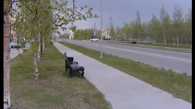 Сохранение северных гарантий 12+ смотреть онлайн