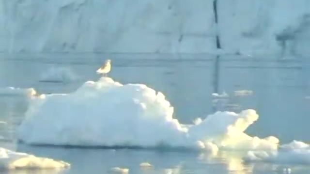 Icebergs Illulisat смотреть онлайн