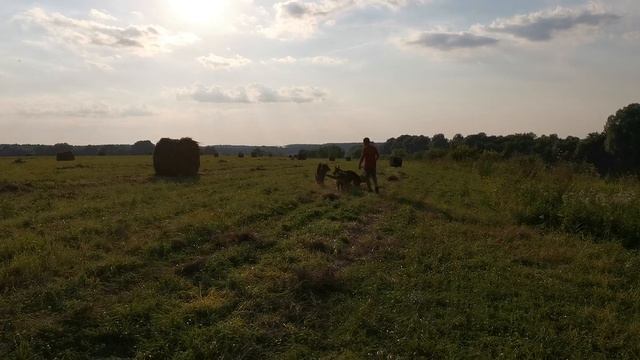 Якшуново, угра смотреть онлайн