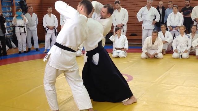 Jacques Payet. Айкидо Ёсинкан. Hiriki no Esei principles смотреть онлайн