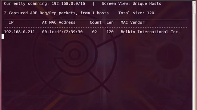 NetDiscover смотреть онлайн