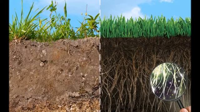 Биология 6 кл Вода в почве испарение воды