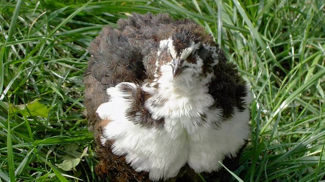 Экопродукты Где купить экопродукты в Воронеже смотреть онлайн