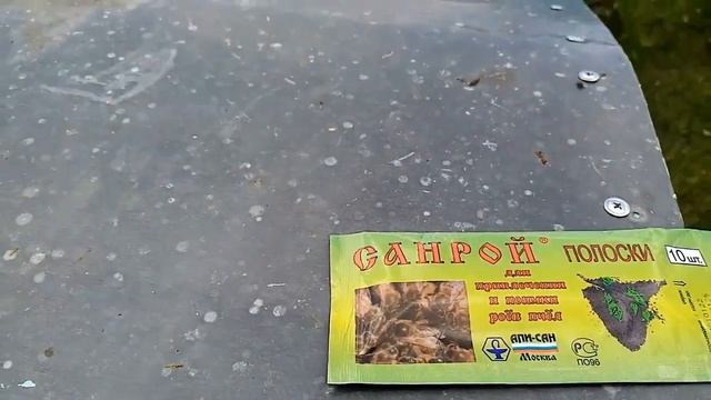 Пчеловодство.Как не упустить рой с пасеки(чтобы не улетел).Поимка блуждающих роёв. смотреть онлайн