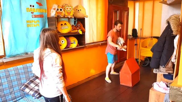 Я СЖЕГ КОТА ДЕВУШКИ И ЭТО НЕ ПРАНК