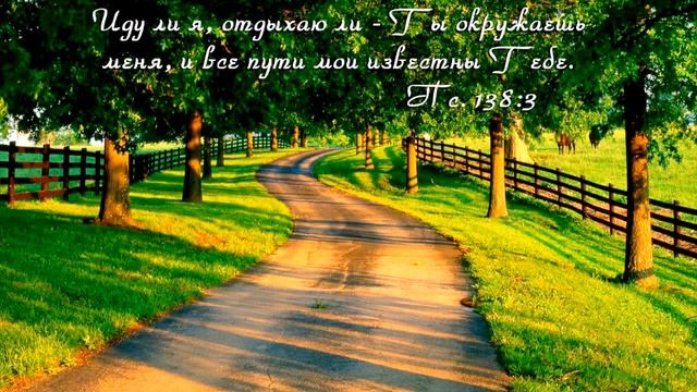 Когда ты утром проснёшся вновь. смотреть онлайн