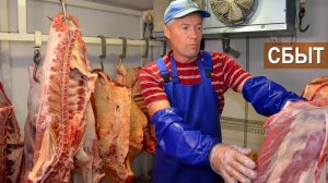 Сбыт говядины. Куда девать мясо бычков? Опыт фермера Андрея Давыдова. КФХ Дик