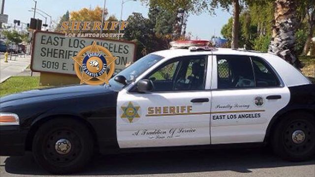 GTA V Sheriff megaphone quotes смотреть онлайн