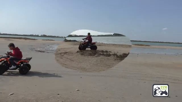 Детский квадроцикл Motax mini grizlik X16 бензин в Евпатории смотреть онлайн