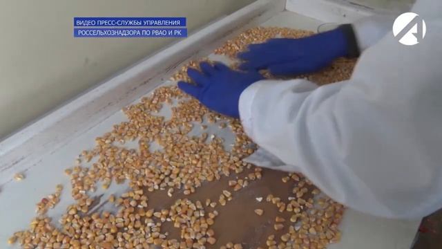 Объем продукции, направленной на экспорт фито-санитарный контроль превышает 1 мл.mp4 смотреть онлайн