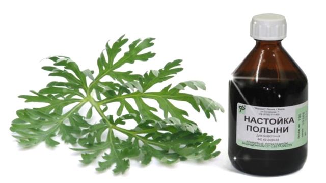 Баба Нина - Как избавиться от паразитов внутри нас при помощи полыни? смотреть онлайн