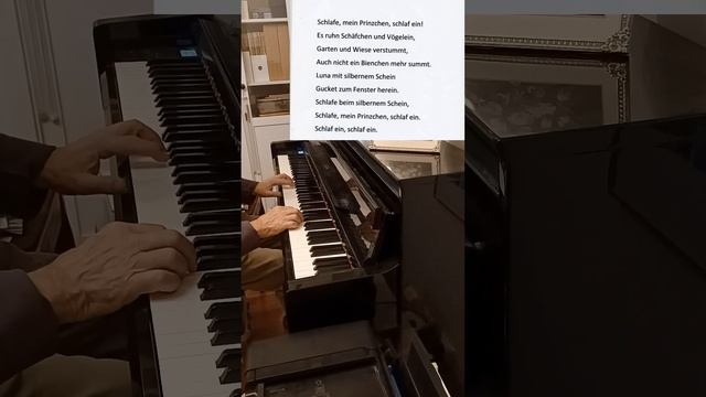 "Schlafe mein prinzchen" "Wiegenlied" x 2 + text Piano: Håkan Edlund смотреть онлайн