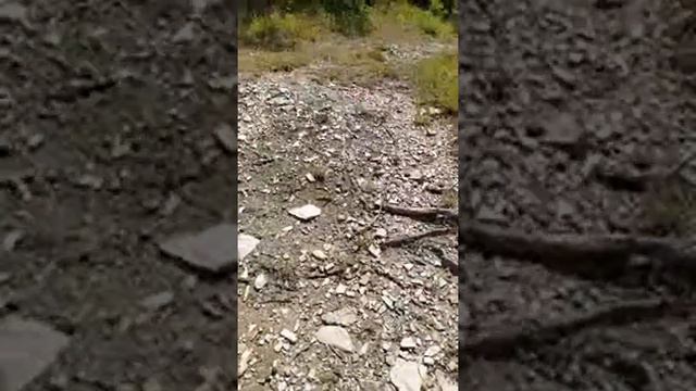 Море И Др смотреть онлайн