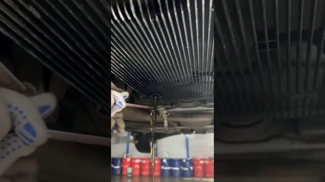 Полная аппаратная замена масла в АКПП BMW 3 G20 ZF 8hp51x смотреть онлайн