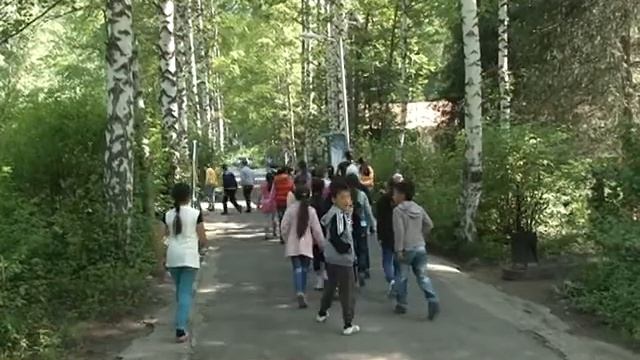 Безопасность Ребенок один дома смотреть онлайн