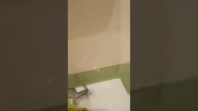 Свойства салфетки СКРАБЕР смотреть онлайн