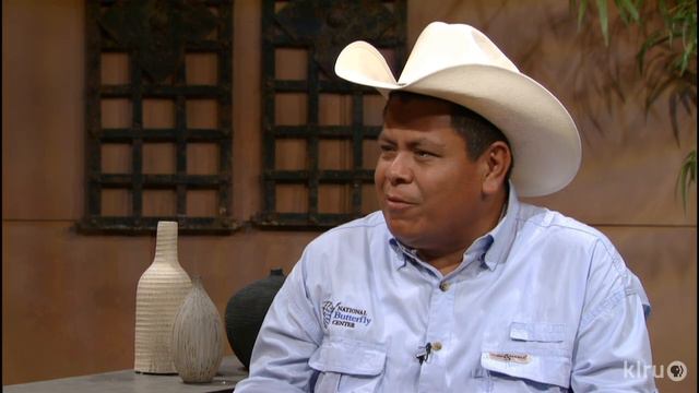 Butterfly Color Wheel |National Butterfly Center |Central Texas Gardener смотреть онлайн