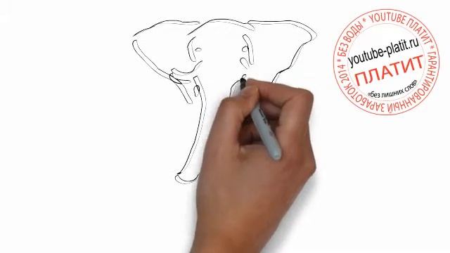 Как нарисовать злого слона карандашом поэтапно смотреть онлайн