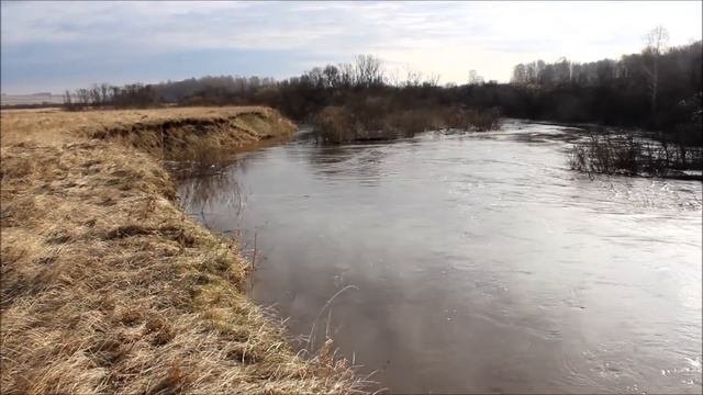 БУЗИМ смотреть онлайн