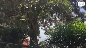 Обзор отеля Club & Hotel Letoonia 5* в Турции (Фетхие) от менеджера Discount Travel