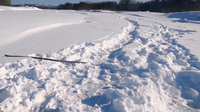Зимняя рыбалка 2022. Ловля крупного ленка в феврале. Winter FISHING 2022. смотреть онлайн