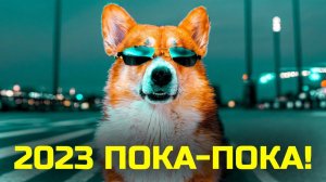 МОЙ 2023. ПРОВАЛЫ vs УСПЕХИ! Корги Кекс Говорящая собака