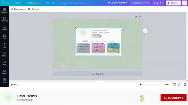 ✂️ Cómo CORTAR una FOTO ? | Recorta una Imagen Con Canva? смотреть онлайн