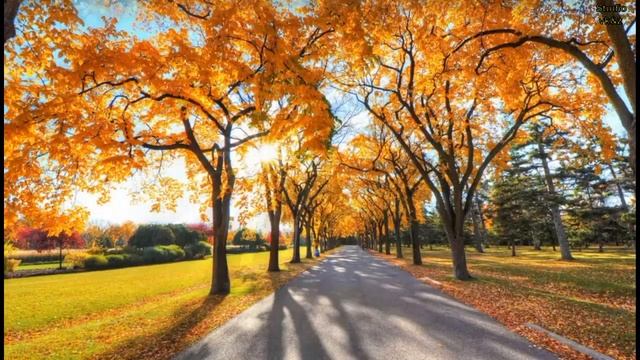 Стихи Татьяна Тищенко ( Левицкая ). Поэтесса. смотреть онлайн