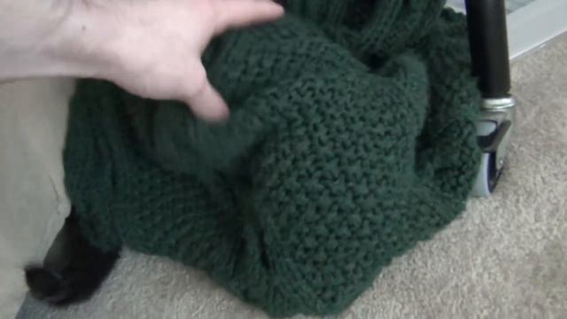 The Adorable Leia Files: Stuck Under the Blanket! смотреть онлайн
