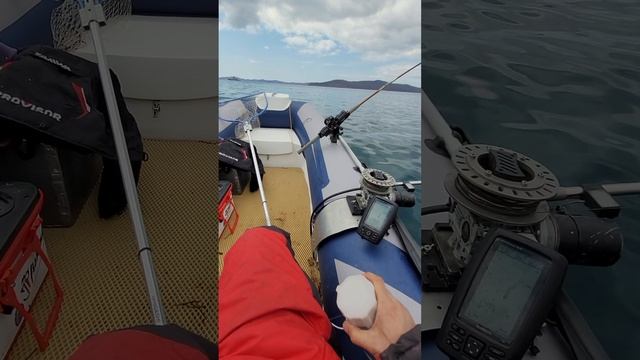 Электронное дистанционное управление лодочным мотором смотреть онлайн