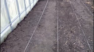 ??? ОБУСТРОЙСТВО ТЕПЛИЦЫ С НУЛЯ. МАРТ. КАК УБРАТЬ ТРАВУ. РАЗМЕТКА ГРЯДОК И ДОРОЖЕК