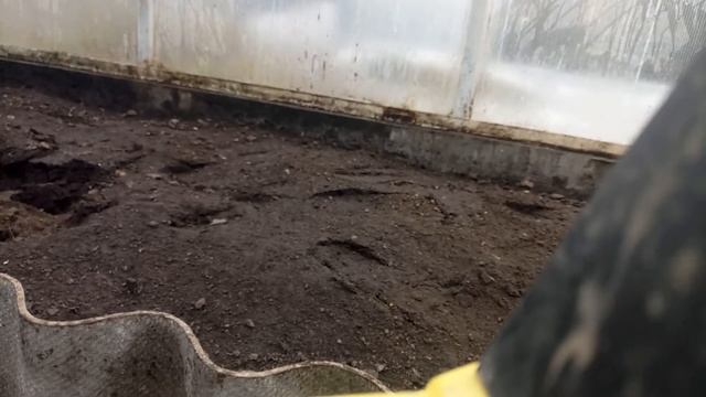 ОБРАБОТКА ТЕПЛИЦЫ ОТ ФИТОФТОРЫ // подготовка к посадке