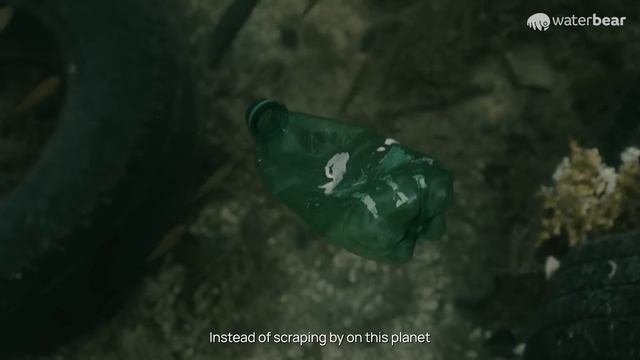 World Oceans Day 2022 | WaterBear смотреть онлайн