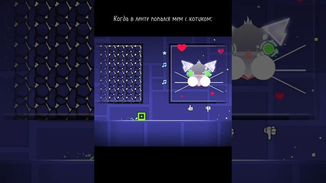 Когда в ленте попался мем с котиком: #shorts смотреть онлайн